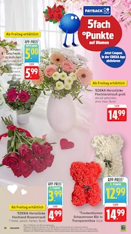 Blumen im EDEKA Prospekt "Aktuelle Angebote" mit 60 Seiten (Mannheim)