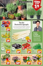 Ähnliche Angebote wie Salatpflanze im Prospekt "Dein Markt" auf Seite 7 von REWE in Hamburg