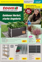 toom Baumarkt Sichtschutz im Prospekt 