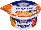 Fruchtjoghurt Mandarine von MARK BRANDENBURG im aktuellen Kaufland Prospekt