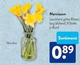 Narzissen  im aktuellen ALDI SÜD Prospekt für 0,89 €