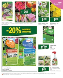 Offre Bulbes à fleurs dans le catalogue Carrefour du moment à la page 5