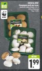 Aktuelle Champignons Angebote bei E center in Nürnberg Aktuelles Champignons weiß Angebot bei E center in Nürnberg ab 1,99 €