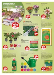 Aktueller V-Markt Prospekt mit Balkonpflanzen, "V-Markt einfach besser einkaufen", Seite 18