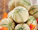 Intermarché Seyssinet-Pariset - Promo Melon Charentais Promo Melon Charentais à 3,98 € dans le catalogue Intermarché à Seyssinet-Pariset