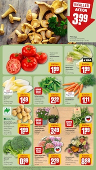 Pfifferlinge im aktuellen REWE Prospekt (Wolfsburg) Pfifferlinge im REWE Prospekt "Dein Markt" mit 32 Seiten (Wolfsburg)