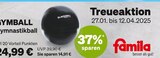 BLACKROLL  GYMBALL Gymnastikball Angebote bei famila Nordost Neustadt für 24,99 €