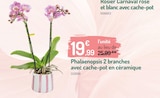 Botanic Épinal - Promo Phalaenopsis 2 branches avec cache-pot en céramique Promo Phalaenopsis 2 branches avec cache-pot en céramique à 19,99 € dans le catalogue Botanic à Épinal