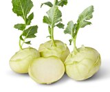 Kohlrabi bei Penny im Prospekt "" für 0,49 €