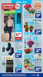 Socken im ALDI SÜD Prospekt in Ludwigshafen Aktueller ALDI SÜD Prospekt mit Socken, "Gutes für Alle.", Seite 22