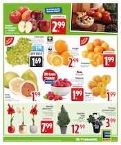Aktueller EDEKA Prospekt mit Garten, "IM EINSATZ FÜR FRISCHE & VIELFALT.", Seite 5