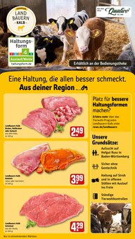 Gulasch im aktuellen REWE Prospekt (Freiburg (Breisgau)) Gulasch im REWE Prospekt "Dein Markt" mit 34 Seiten (Freiburg (Breisgau))