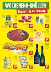 Tulpen im Marktkauf Prospekt in Hof Aktueller Marktkauf Prospekt mit Tulpen, "AUSWAHL RIESIG, PREISE NIEDRIG", Seite 42