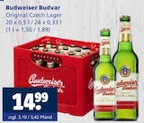 Original Czech Lager Angebote von Budweiser Budvar bei Getränkewelt Mülheim für 14,99 €