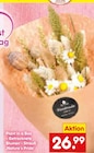 Plant in a Box - Getrocknete Blumen - Strauß 'Nature's Pride'  im aktuellen Netto Marken-Discount Prospekt für 26,99 €