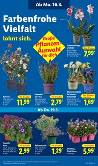 Kissen im aktuellen Lidl Prospekt (Duisburg) Kissen im Lidl Prospekt "LIDL LOHNT SICH" mit 68 Seiten (Duisburg)