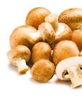 Kulturchampignons braun bei Netto mit dem Scottie im Berlinchen Prospekt für 1,29 €