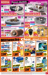 Gillette Angebot & Preis im aktuellen Norma Prospekt Gillette Angebot im aktuellen Norma Prospekt auf Seite 13