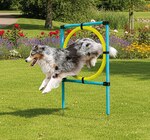 Accessoire Agility pour chien - ZoofarAOOFARI en promo chez Lidl Franconville à 11,99 €