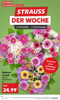 Blumen im aktuellen Kaufland Prospekt (Bremen) Blumen im Kaufland Prospekt "Aktuelle Angebote" mit 62 Seiten (Bremen)