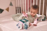 Baby-Spielzeug im Angebot bei Lidl in Dortmund Baby-Spielzeug Angebote von lupilu bei Lidl Dortmund für 6,99 €