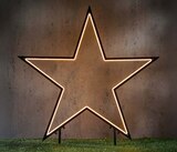 Gartenstecker Neon Angebote bei hagebau kompakt Bergisch Gladbach für 24,99 €