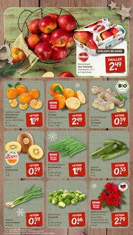Pflanzen im aktuellen nahkauf Prospekt (Bielefeld) Pflanzen im nahkauf Prospekt "nichts liegt näher" mit 8 Seiten (Bielefeld)