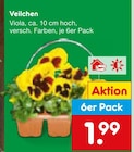 Veilchen Angebote bei Netto Marken-Discount Hürth für 1,99 €