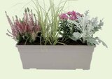 Jardinière Talia - LaMaison.fr à Saint-Nazaire Jardinière Talia en promo chez LaMaison.fr Saint-Nazaire à 19,95 €