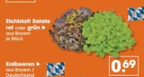 V-Markt Füssen - Eichblatt Salate rot Angebot im Prospekt Eichblatt Salate rot bei V-Markt im Füssen Prospekt für 0,69 €