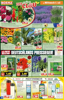 Lavendel im aktuellen Norma Prospekt (München) Lavendel im Norma Prospekt "Mehr fürs Geld" mit 21 Seiten (München)