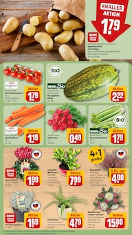 Grill im aktuellen REWE Prospekt (Duisburg) Grill im REWE Prospekt "Dein Markt" mit 30 Seiten (Duisburg)