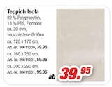 Teppich Isola Angebote bei Möbel AS Baden-Baden für 39,95 €