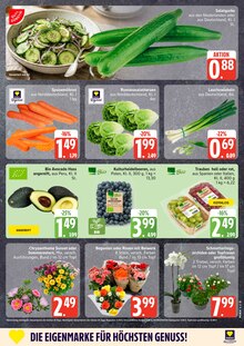 Salat im aktuellen EDEKA Prospekt (Hamburg) Salat im EDEKA Prospekt "Top Angebote" mit 27 Seiten (Hamburg)