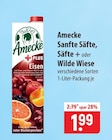 Amecke Sanfte Säfte, Säfte + oder Wilde Wiese im Angebot bei famila Nordost in Neumünster Amecke Sanfte Säfte, Säfte + oder Wilde Wiese Angebote bei famila Nordost Neumünster für 1,99 €