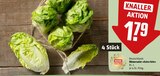 Aktuelle Salat Angebote bei REWE in Hamburg Aktuelles Römersalat Extra fein Angebot bei REWE in Hamburg ab 1,29 €