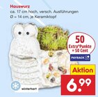 Aktuelles Hauswurz Angebot bei Netto Marken-Discount in Dresden ab 6,99 €