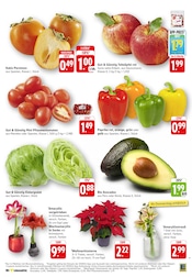 Ähnliche Angebote wie Zitronenbaum im Prospekt "Aktuelle Angebote" auf Seite 3 von E center in Lahr