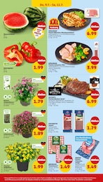 Weste Angebot im aktuellen Penny Prospekt auf Seite 30