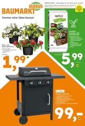Gartenerde im Globus-Baumarkt Prospekt in Neu-Ulm Aktueller Globus-Baumarkt Prospekt mit Gartenerde, "Immer eine Idee besser", Seite 1