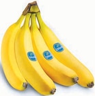 Bananen im Angebot bei Markant Nordwest in Bad Salzuflen Bananen Angebote von Chiquita bei Markant Nordwest Bad Salzuflen für 1,99 €