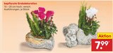 bepflanzte Grabdekoration im Angebot bei Netto Marken-Discount in Detmold bepflanzte Grabdekoration Angebote bei Netto Marken-Discount Detmold für 7,99 €