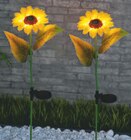 Solar-Sonnenblumen-Set im Angebot bei toom Baumarkt in Karlsruhe Solar-Sonnenblumen-Set Angebote bei toom Baumarkt Karlsruhe für 9,99 €