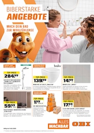 Steine Angebot im aktuellen OBI Prospekt auf Seite 1