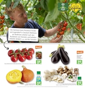 Bio im Marktkauf Prospekt in Fellbach Aktueller Marktkauf Prospekt mit Bio, "Aktuelle Angebote", Seite 4