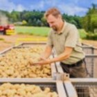 Kaufland Schwalmstadt - Dtsch. Speisefrühkartoffeln Angebot im Prospekt Dtsch. Speisefrühkartoffeln bei Kaufland im Schwalmstadt Prospekt für 2,99 €