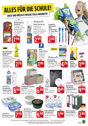 Aktueller EDEKA Prospekt mit Aufbewahrungsbox, "Aktuelle Angebote", Seite 19