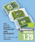 Rucola-, Pflücksalat oder Blattspinat von EDEKA Bio im aktuellen E center Prospekt