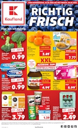 Kaufland Prospekt für Treffurt mit 70 Seiten Kaufland Prospekt für Treffurt: "Aktuelle Angebote", 70 Seiten, 26.02.2026 - 04.03.2026