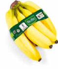 Bio Bananen im Angebot bei Netto Marken-Discount in Saarbrücken Bio Bananen Angebote von BioBio bei Netto Marken-Discount Saarbrücken für 1,69 €